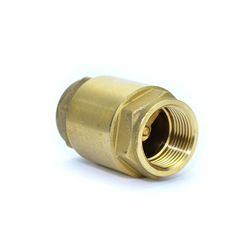 Europa Brass Spring Check Valve, Screwed BSP