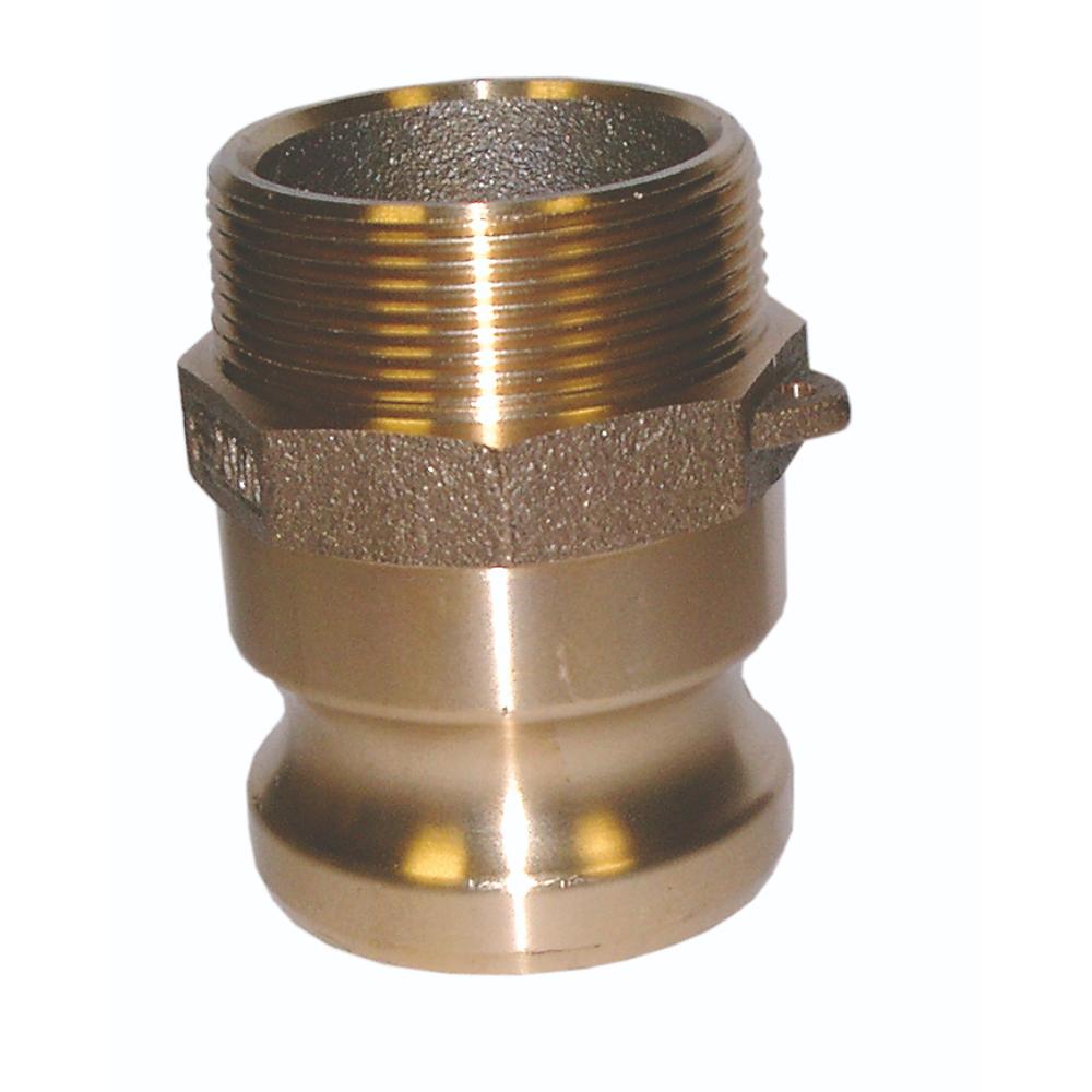 Brass Type F Camlock x BSPT Male