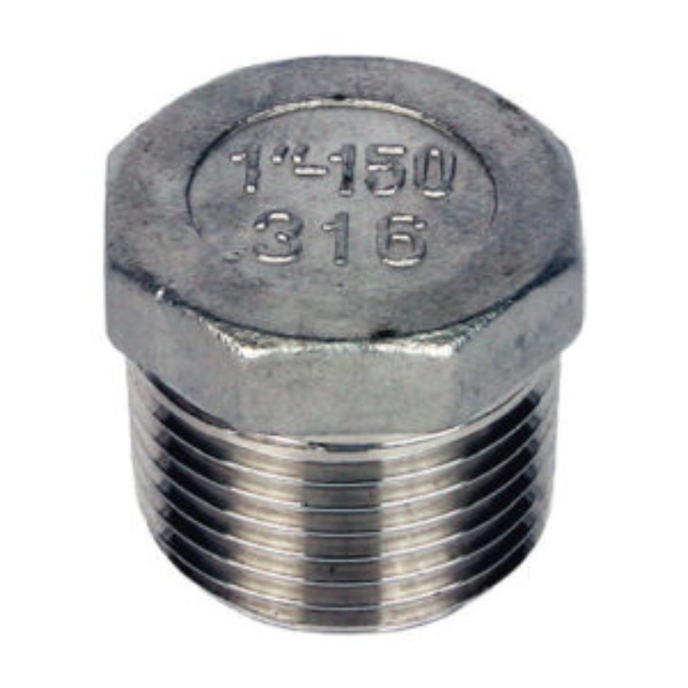 Stainless Steel 316 150lb Hexagon Plug