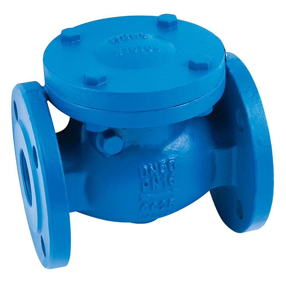 Flanged PN16 Cast Iron Metal Seated Swing Check Valve